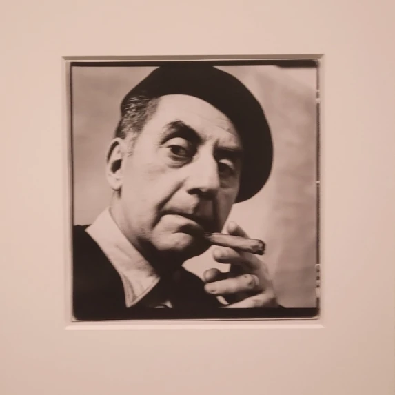 Jeu de Paume - beauté fragile- Photo Irving Penn  - Man Ray 
photo de la photo Backinparis