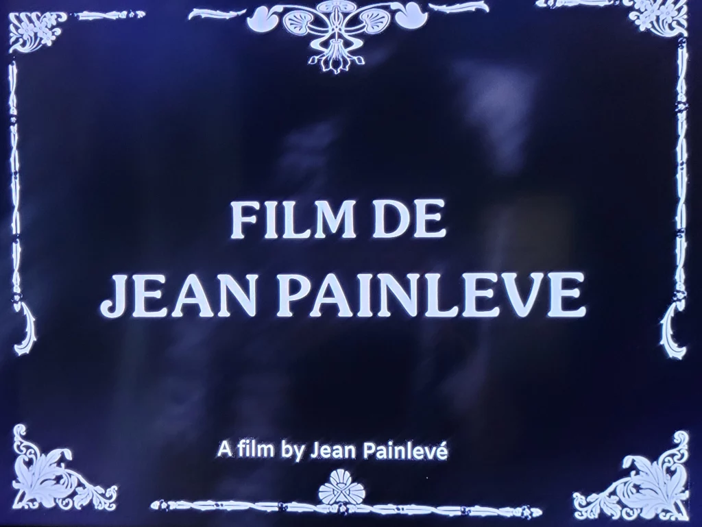 Plan du film de Jean Painlevé 1927- Jeu de Paume Paris 