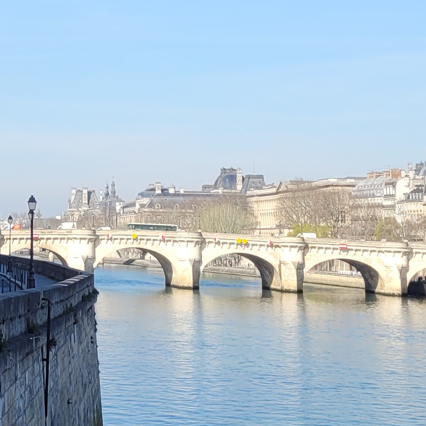 Le Pont Neuf à Paris - Photo Back in Paris 