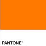 Orange  couleur des années 60 en Italie.
Pantone  