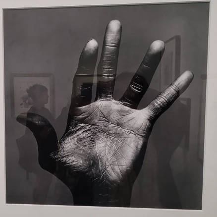 Jeu de Paume - beauté fragile- Photo Irving Penn - Les mains de Miles Davis 
photo de la photo Backinparis