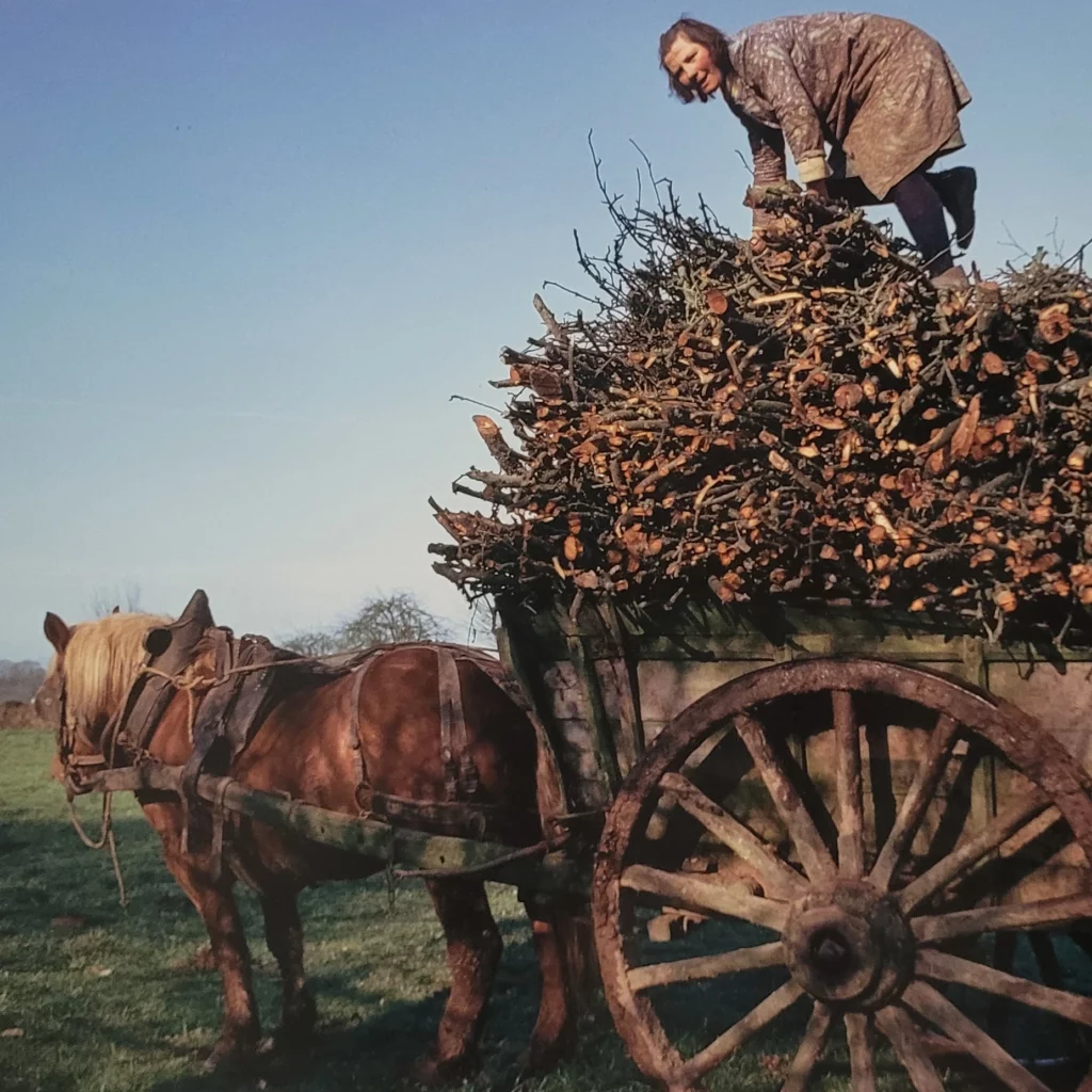 Expo Jeu de Paume : Madeleine de Sinéty.

Travaux de ferme.
Photo BackinParis