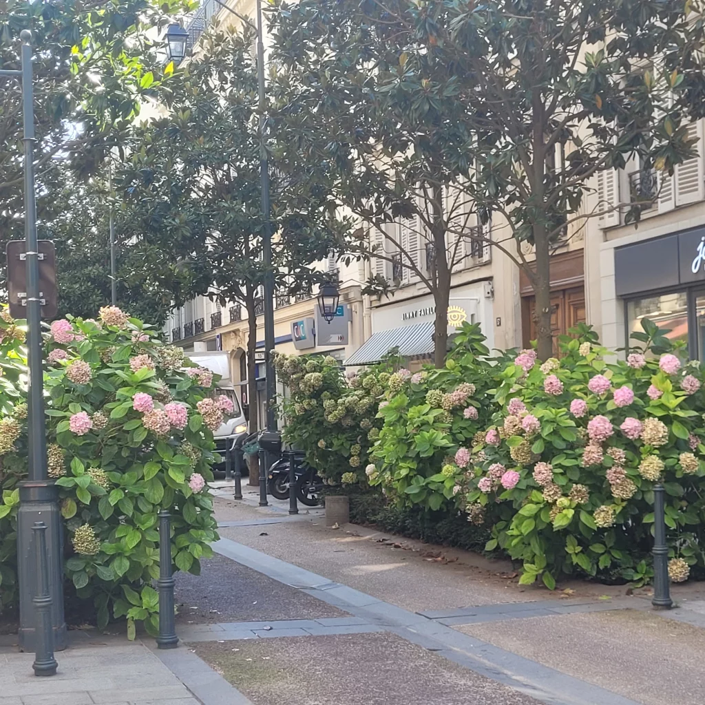 Paris en vert et rose